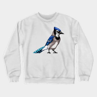 Cute Blue Jay Drawing Crewneck Sweatshirt